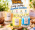 Long Lasting Scented Candles